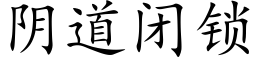 阴道闭锁 (楷体矢量字库)