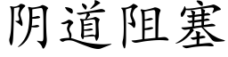 阴道阻塞 (楷体矢量字库)