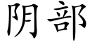 阴部 (楷体矢量字库)