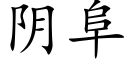 阴阜 (楷体矢量字库)