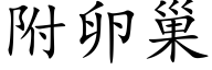 附卵巢 (楷体矢量字库)