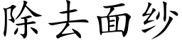 除去面紗 (楷體矢量字庫)