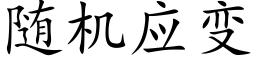 随机应变 (楷体矢量字库)