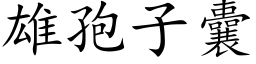 雄孢子囊 (楷體矢量字庫)