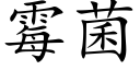 霉菌 (楷体矢量字库)