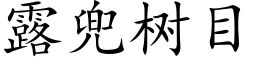 露兜树目 (楷体矢量字库)