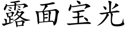 露面宝光 (楷体矢量字库)