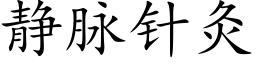 静脉针灸 (楷体矢量字库)