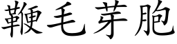 鞭毛芽胞 (楷体矢量字库)