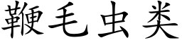 鞭毛虫类 (楷体矢量字库)