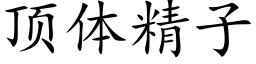 顶体精子 (楷体矢量字库)