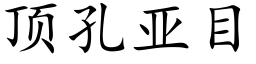 顶孔亚目 (楷体矢量字库)