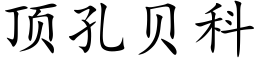 顶孔贝科 (楷体矢量字库)