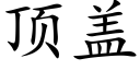 顶盖 (楷体矢量字库)