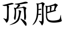 顶肥 (楷体矢量字库)