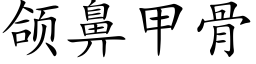 颌鼻甲骨 (楷体矢量字库)