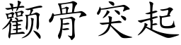 顴骨突起 (楷體矢量字庫)