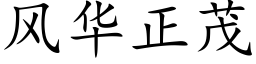 风华正茂 (楷体矢量字库)