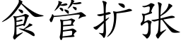 食管扩张 (楷体矢量字库)