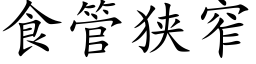 食管狹窄 (楷體矢量字庫)