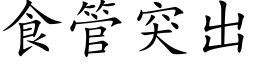 食管突出 (楷体矢量字库)