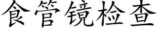 食管镜检查 (楷体矢量字库)