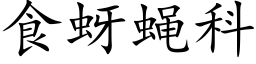 食蚜蝇科 (楷体矢量字库)