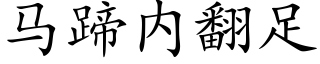 马蹄内翻足 (楷体矢量字库)