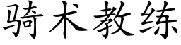 骑术教练 (楷体矢量字库)