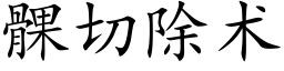 髁切除術 (楷體矢量字庫)