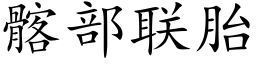 髂部联胎 (楷体矢量字库)