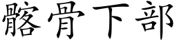 髂骨下部 (楷体矢量字库)