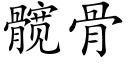 髋骨 (楷体矢量字库)