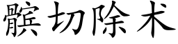 髌切除術 (楷體矢量字庫)