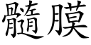 髓膜 (楷体矢量字库)