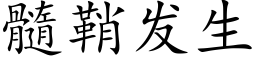 髓鞘发生 (楷体矢量字库)