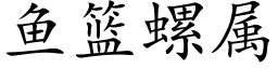 鱼篮螺属 (楷体矢量字库)