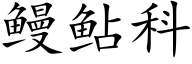 鳗鲇科 (楷體矢量字庫)