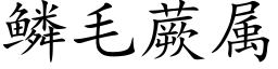 鳞毛蕨属 (楷体矢量字库)