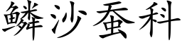 鱗沙蠶科 (楷體矢量字庫)