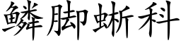 鳞脚蜥科 (楷体矢量字库)