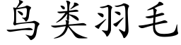 鸟类羽毛 (楷体矢量字库)