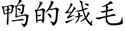 鸭的绒毛 (楷体矢量字库)