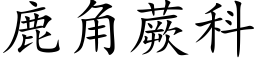 鹿角蕨科 (楷体矢量字库)