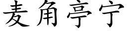 麦角亭宁 (楷体矢量字库)