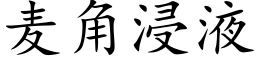 麦角浸液 (楷体矢量字库)