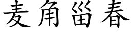 麥角甾春 (楷體矢量字庫)