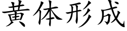 黃體形成 (楷體矢量字庫)