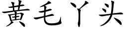 黄毛丫头 (楷体矢量字库)