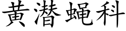 黄潜蝇科 (楷体矢量字库)